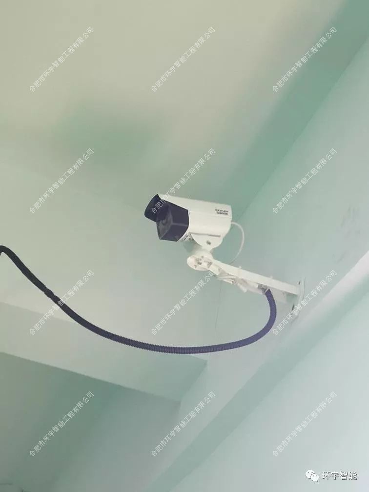 1733206890909433.png 圖片 7.png